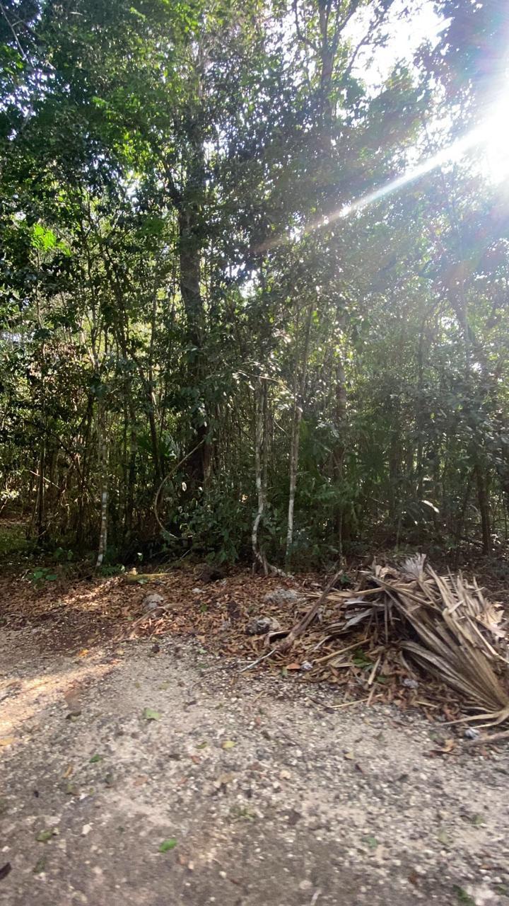Oportunidad de Terreno en la ruta de los cenotes!