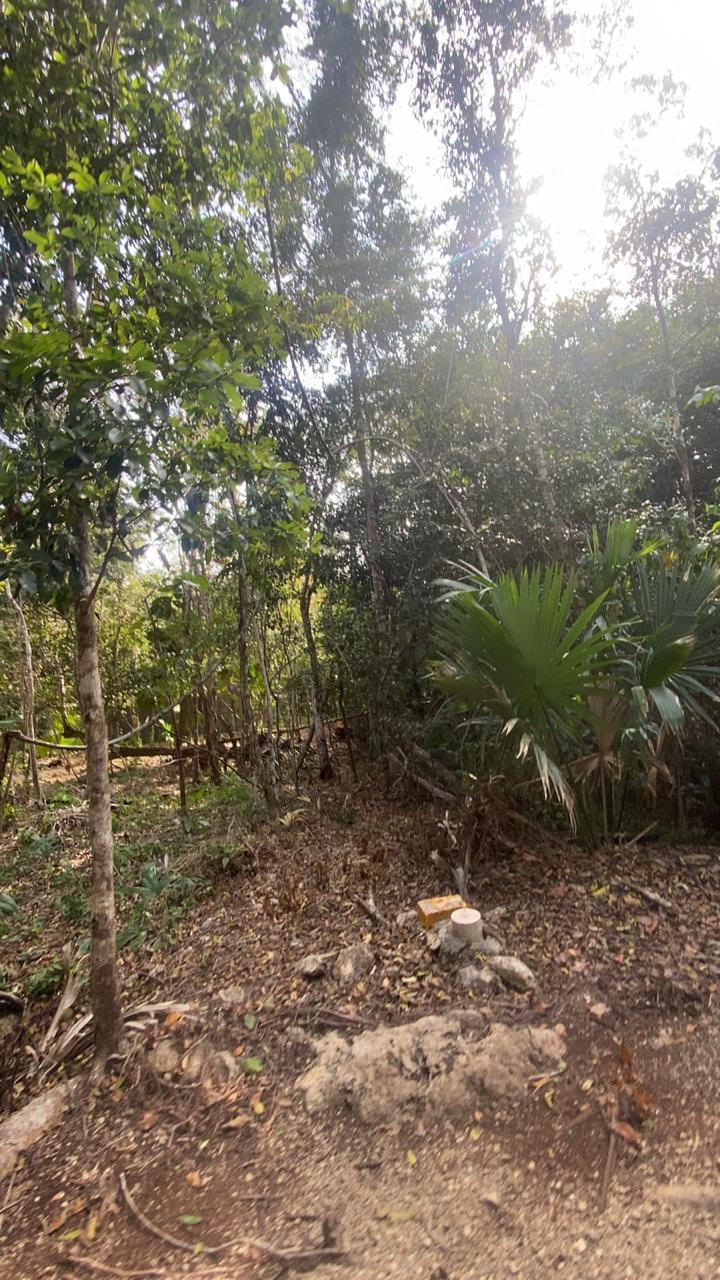 Oportunidad de Terreno en la ruta de los cenotes!