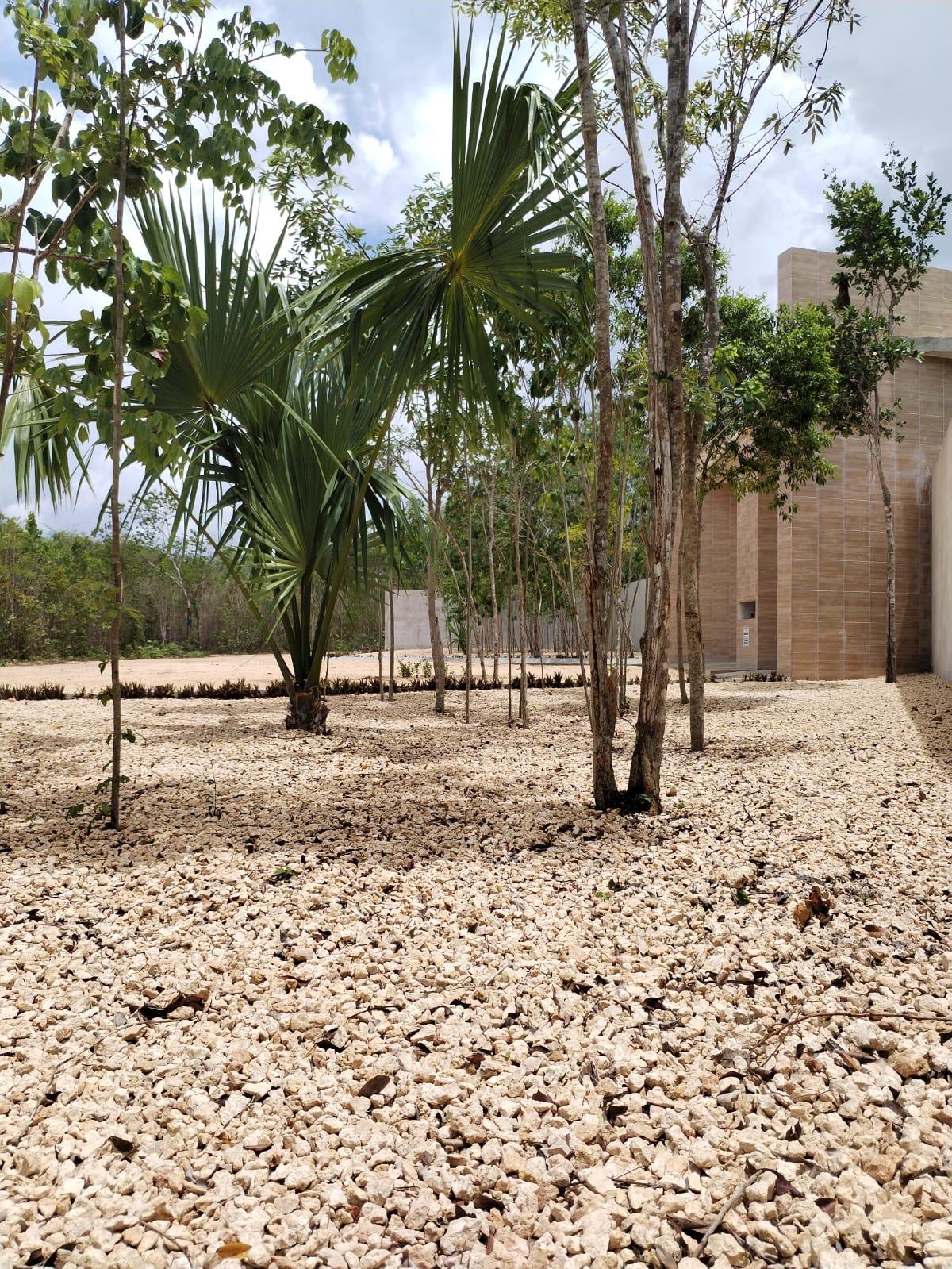 Terrenos desde 15 x 25 en Puerto Morelos