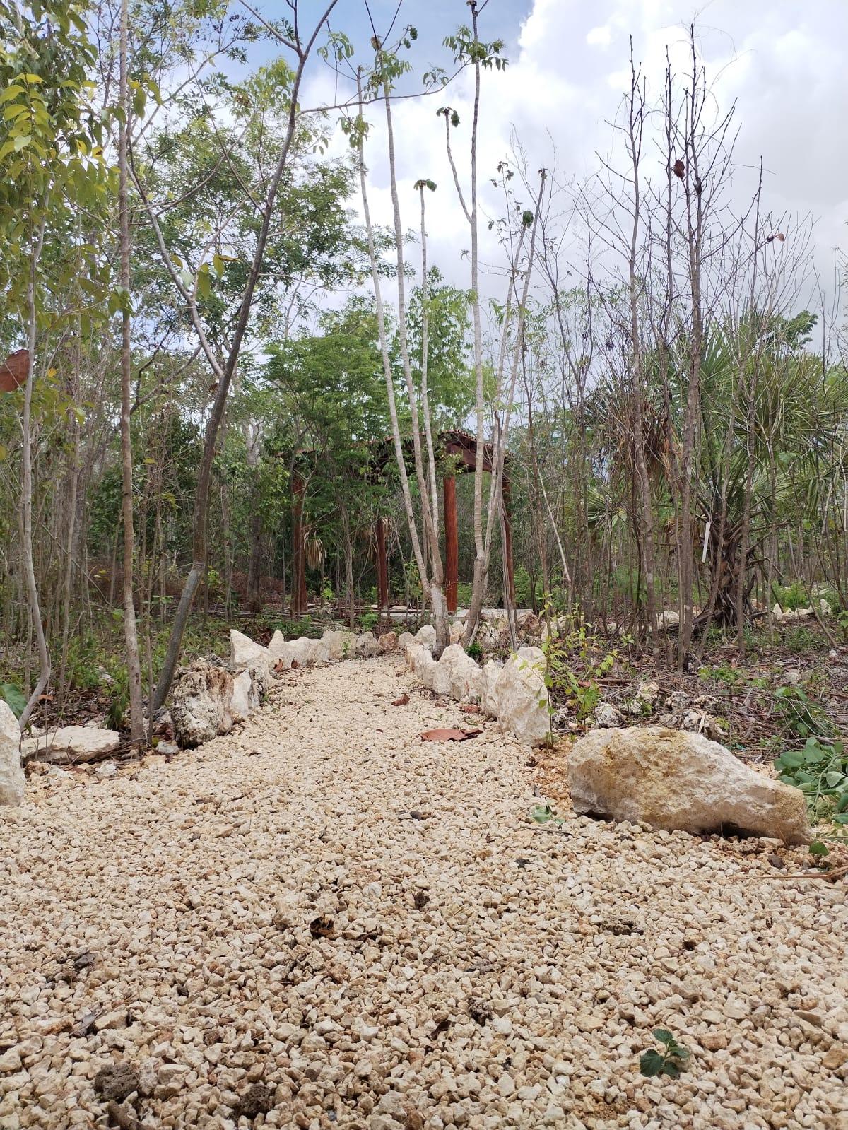 Terrenos desde 15 x 25 en Puerto Morelos