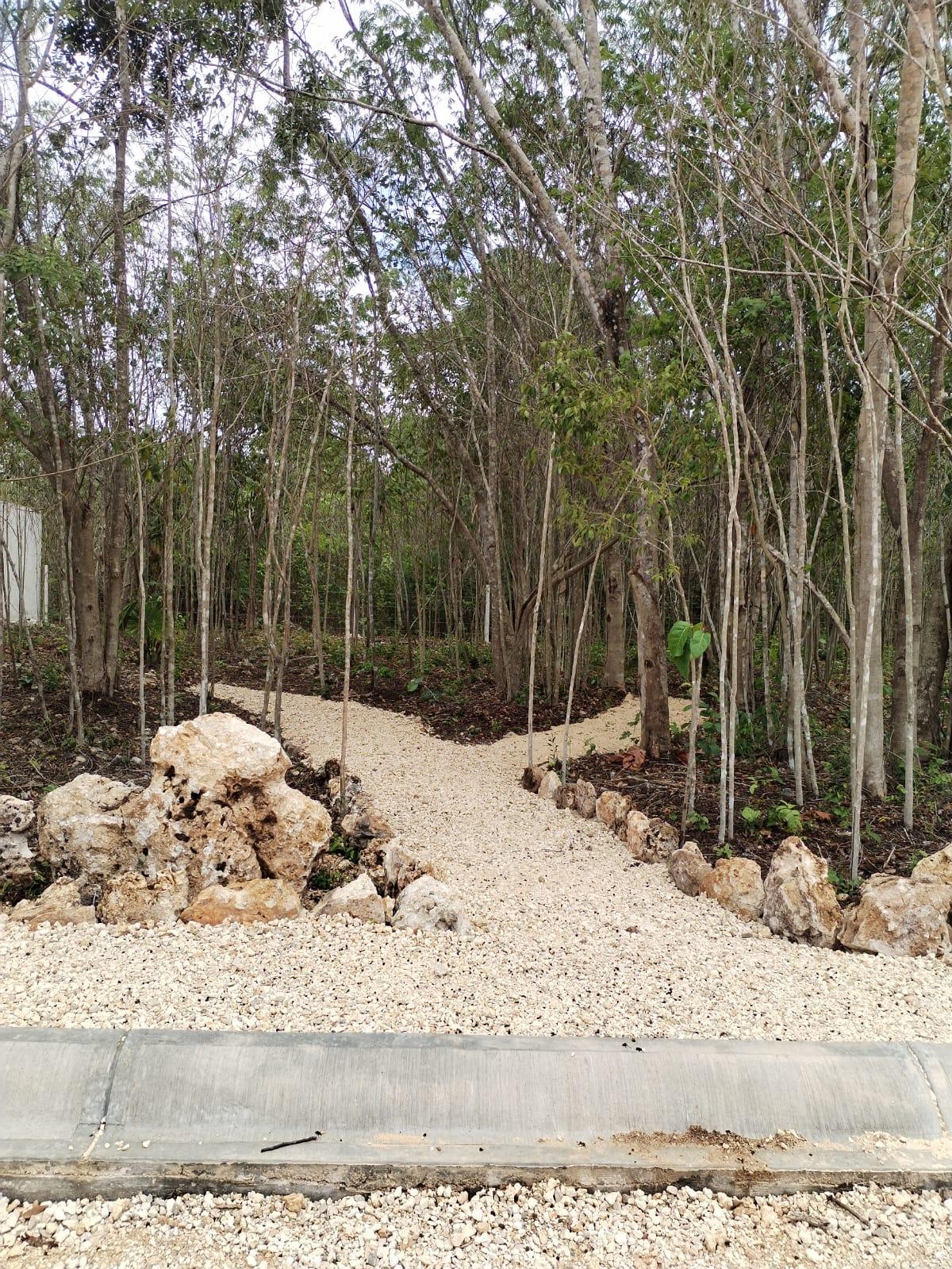 Terrenos desde 15 x 25 en Puerto Morelos