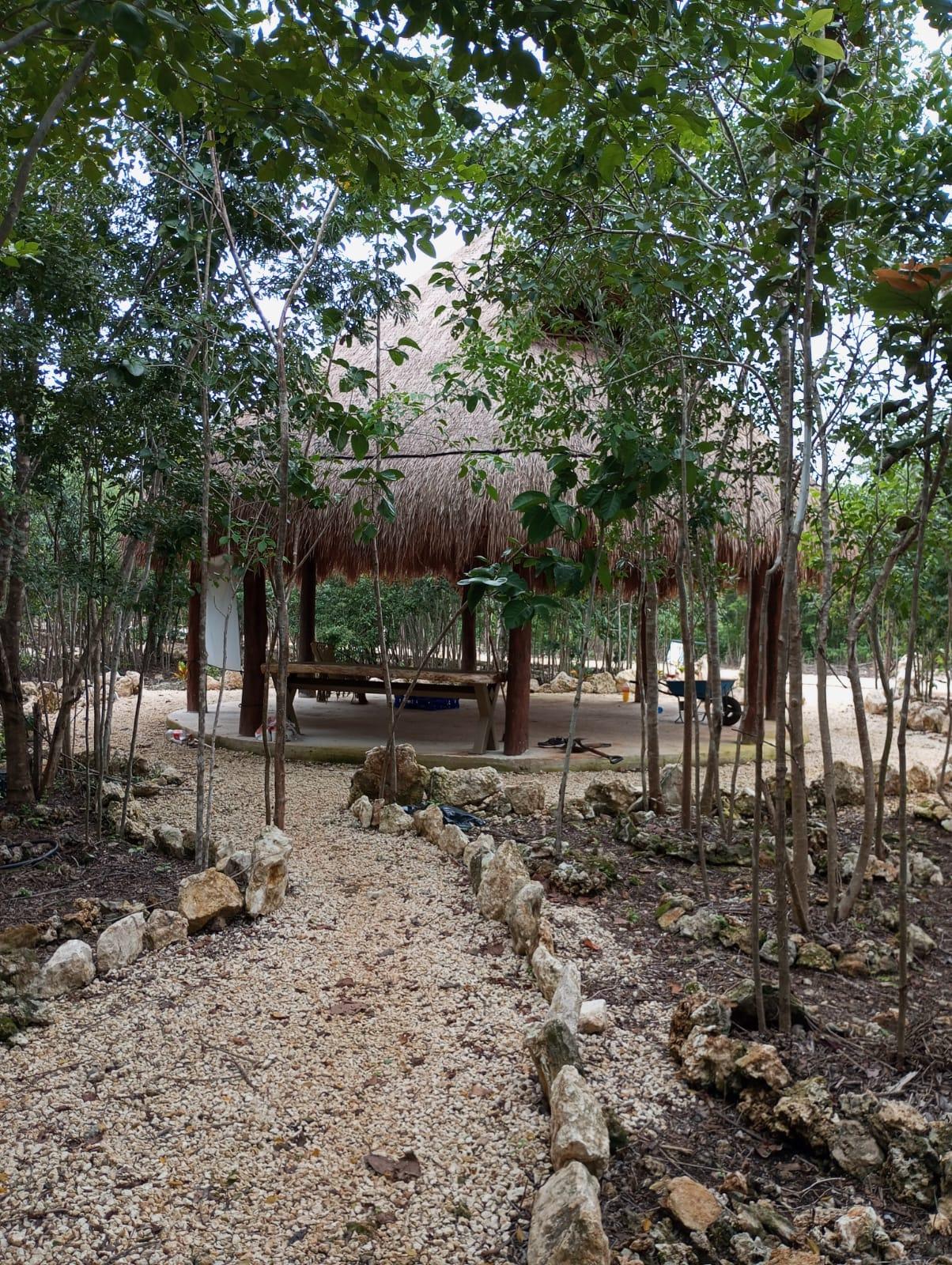 Terrenos desde 15 x 25 en Puerto Morelos
