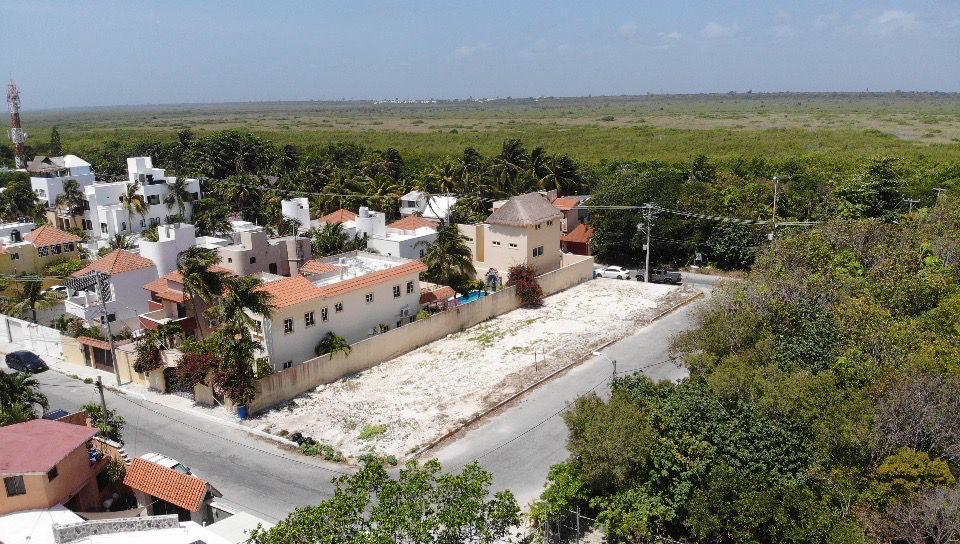 Estudio en Puerto Morelos