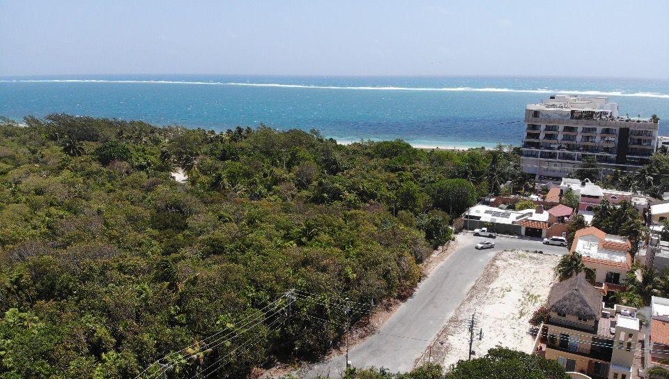 Estudio en Puerto Morelos