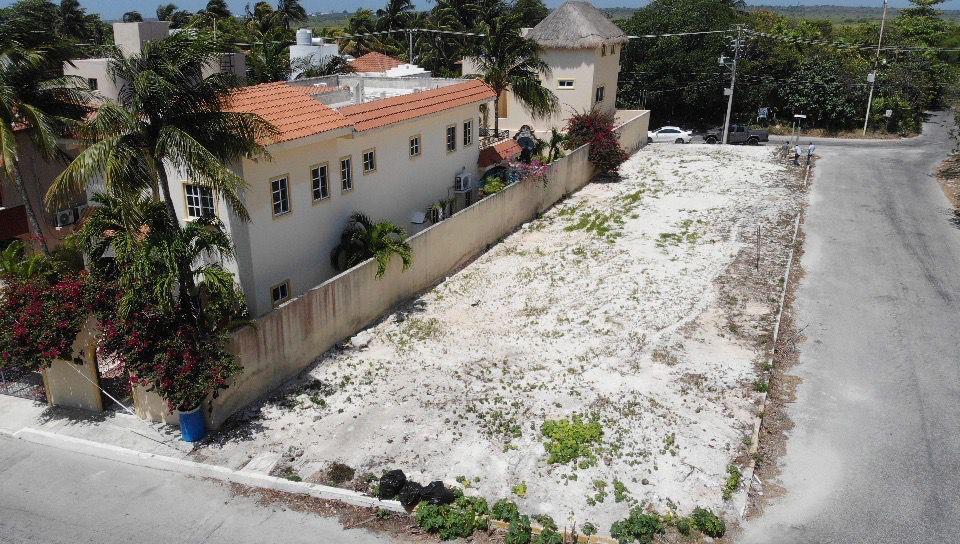Estudio en Puerto Morelos