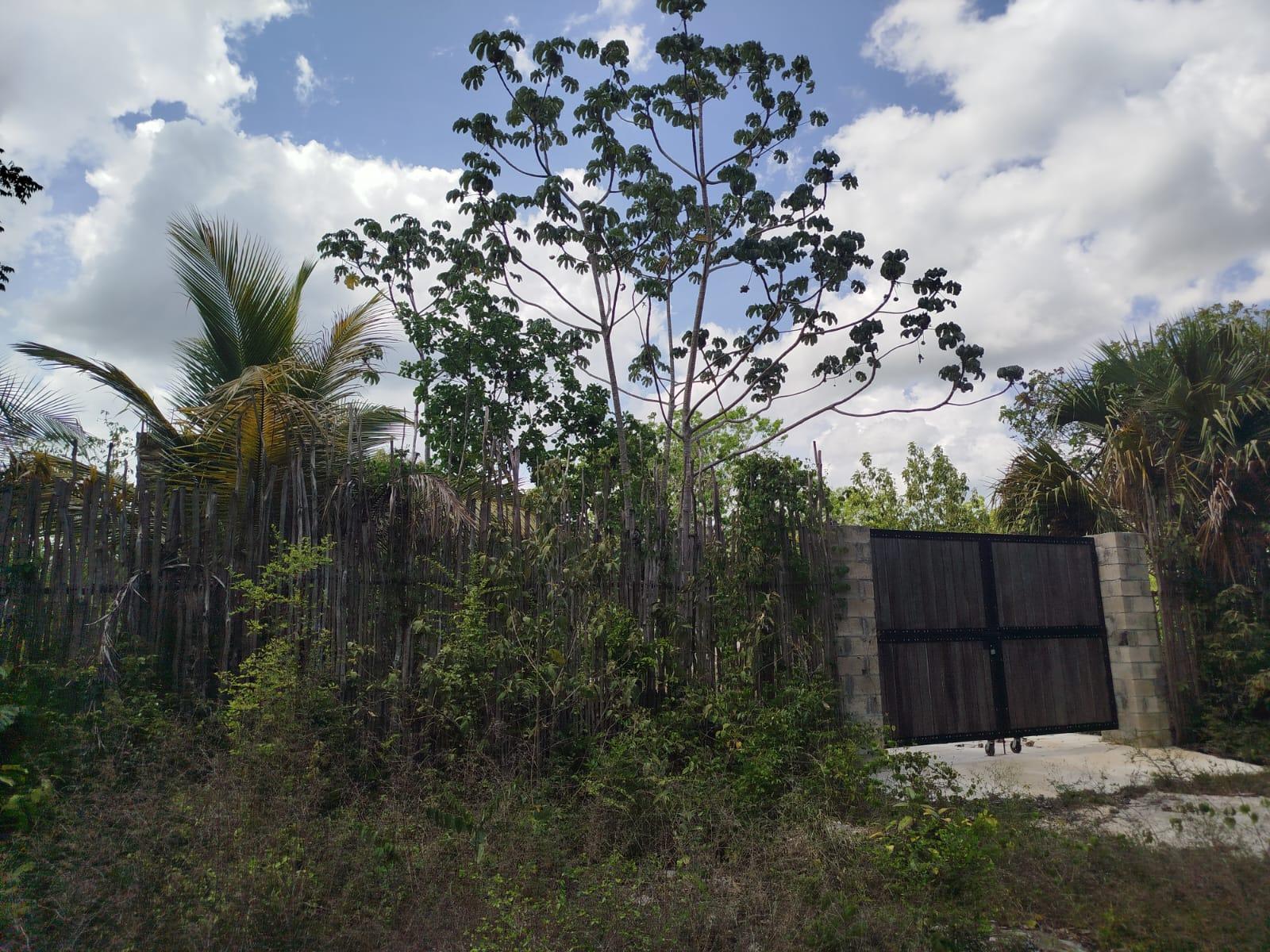 Se remata 10 hectáreas en Cancún