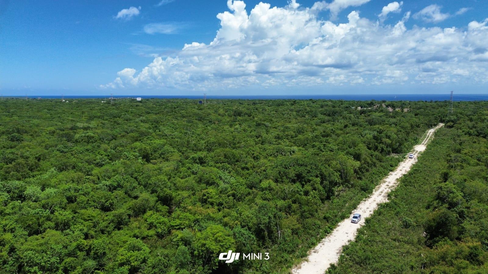 Terrenos en Puerto Aventuras