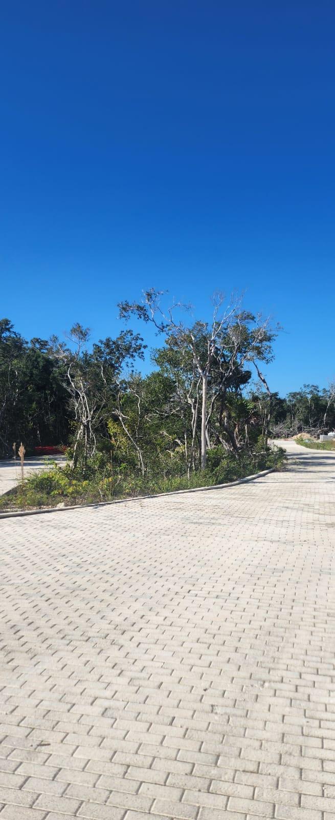 Terreno en Tulum Región 12
