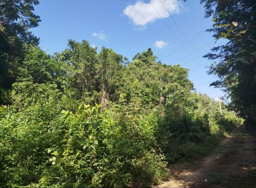 Terreno de 2000 mts2 en Puerto Morelos