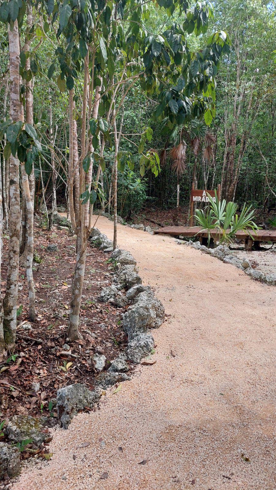 Terreno de Oportunidad en Cancún!