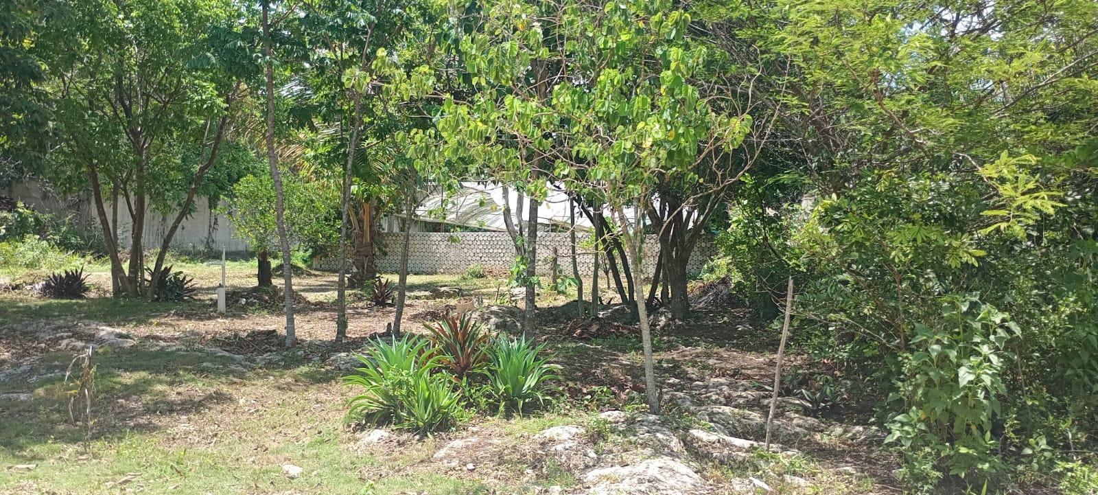Terreno en esquina en Leona Vicario