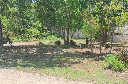 Terreno en esquina en Leona Vicario