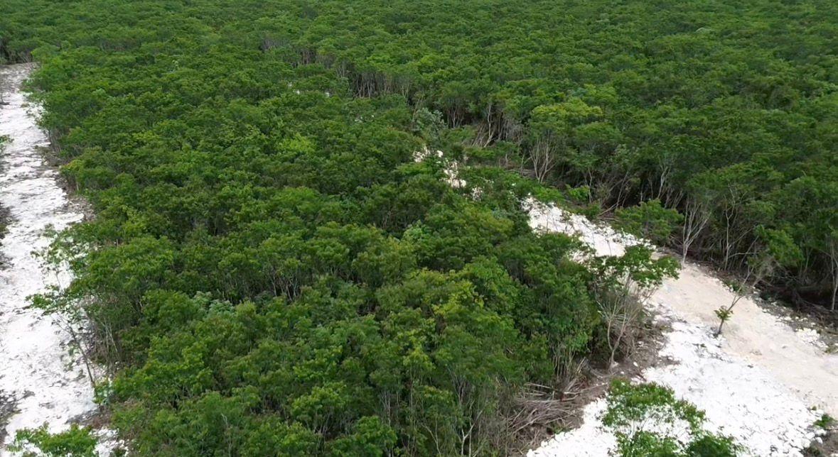 Terrenos con escritura en Cancún
