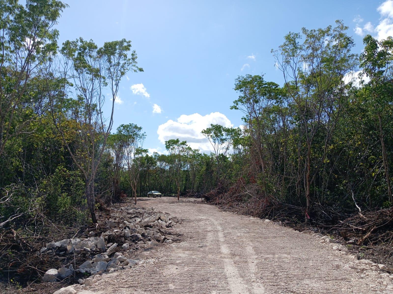 Terrenos con escritura en Cancún