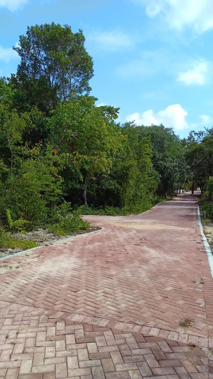 Lotes Residenciales en Chemuyil