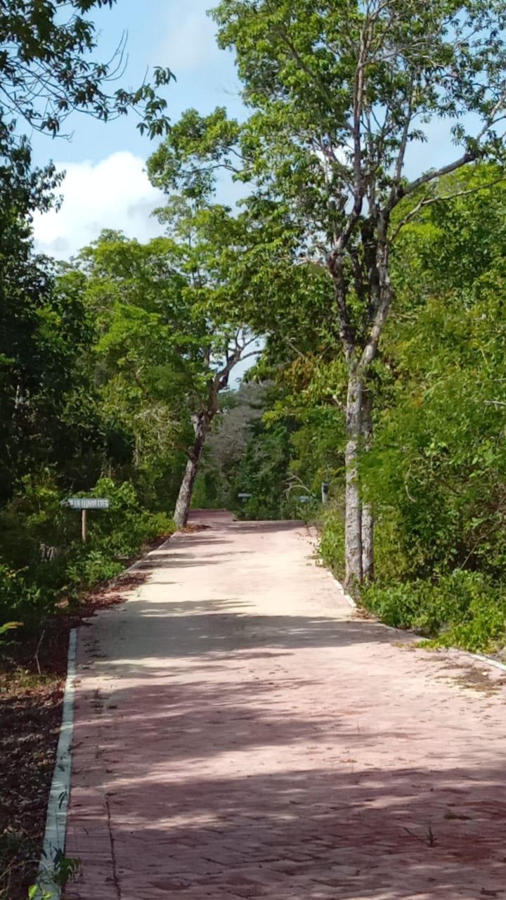 Lotes Residenciales en Chemuyil