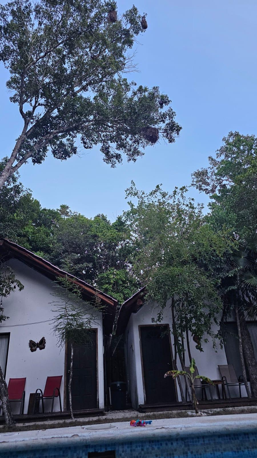 Lotes Residenciales en Chemuyil