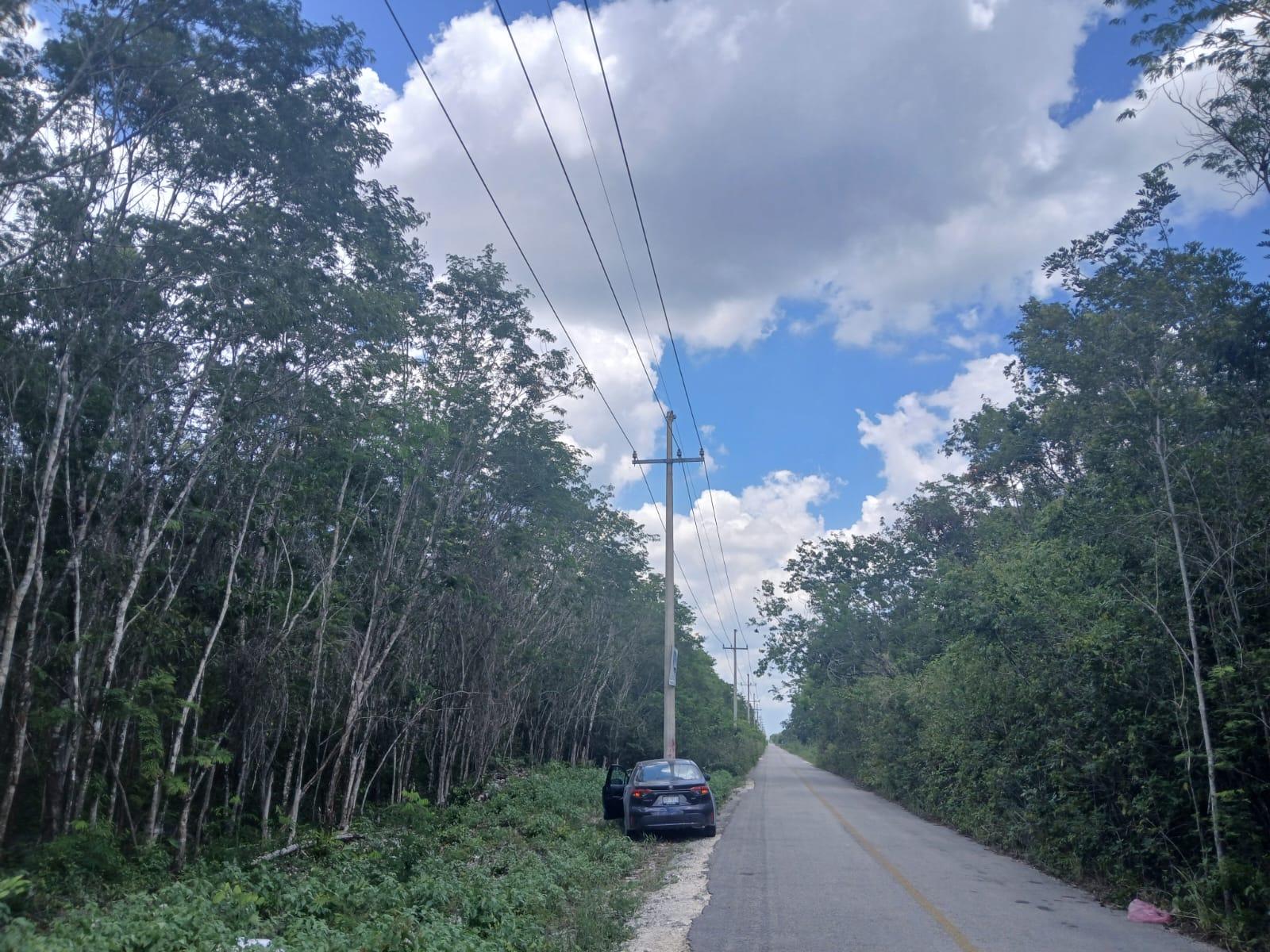 Remato 6.2 HECTÁREAS KM 7.7 CAMINO A FRANCISCO MAY CANCÚN