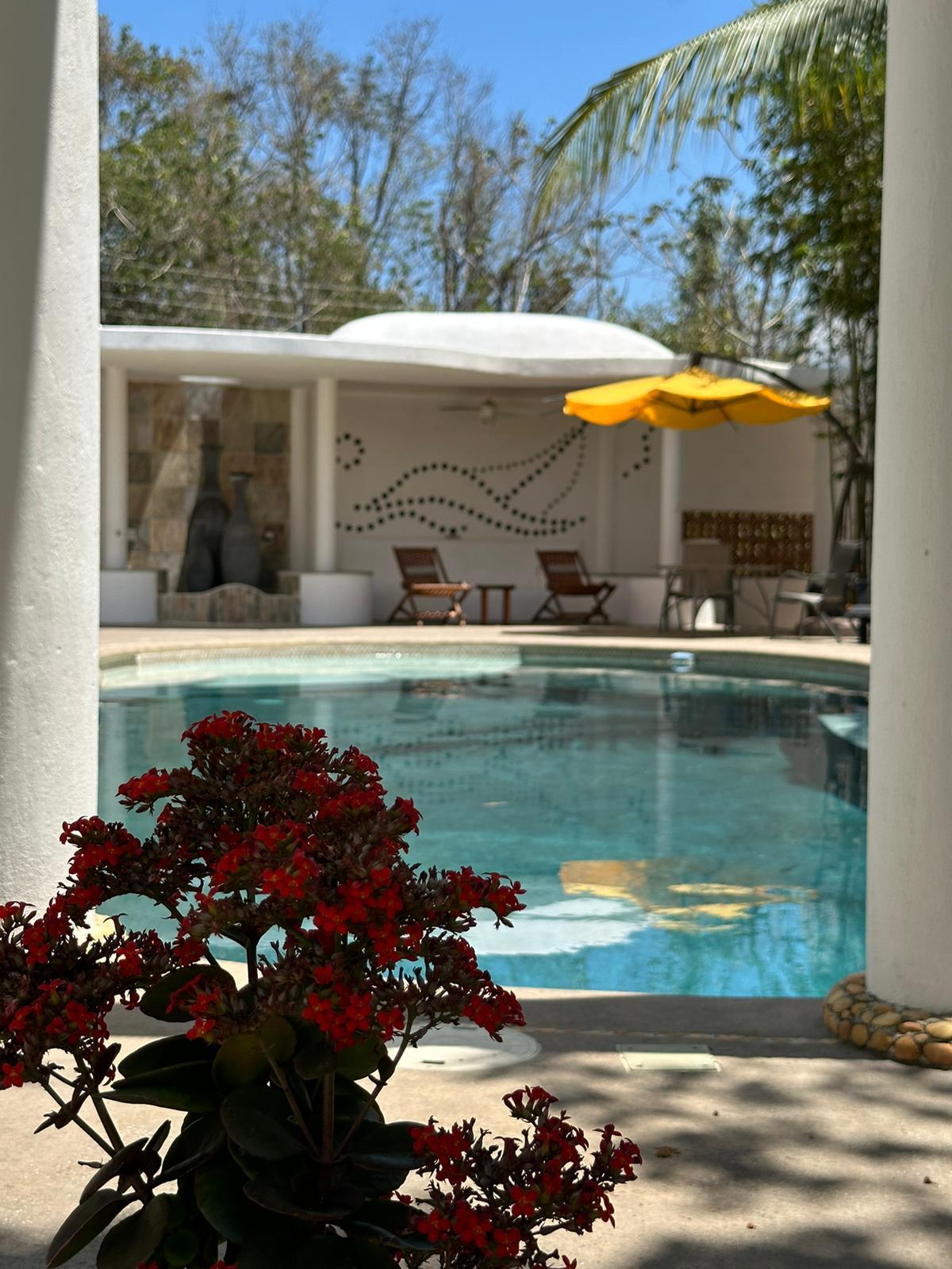 Hostal amueblado en la Colonia Doctores Cancún