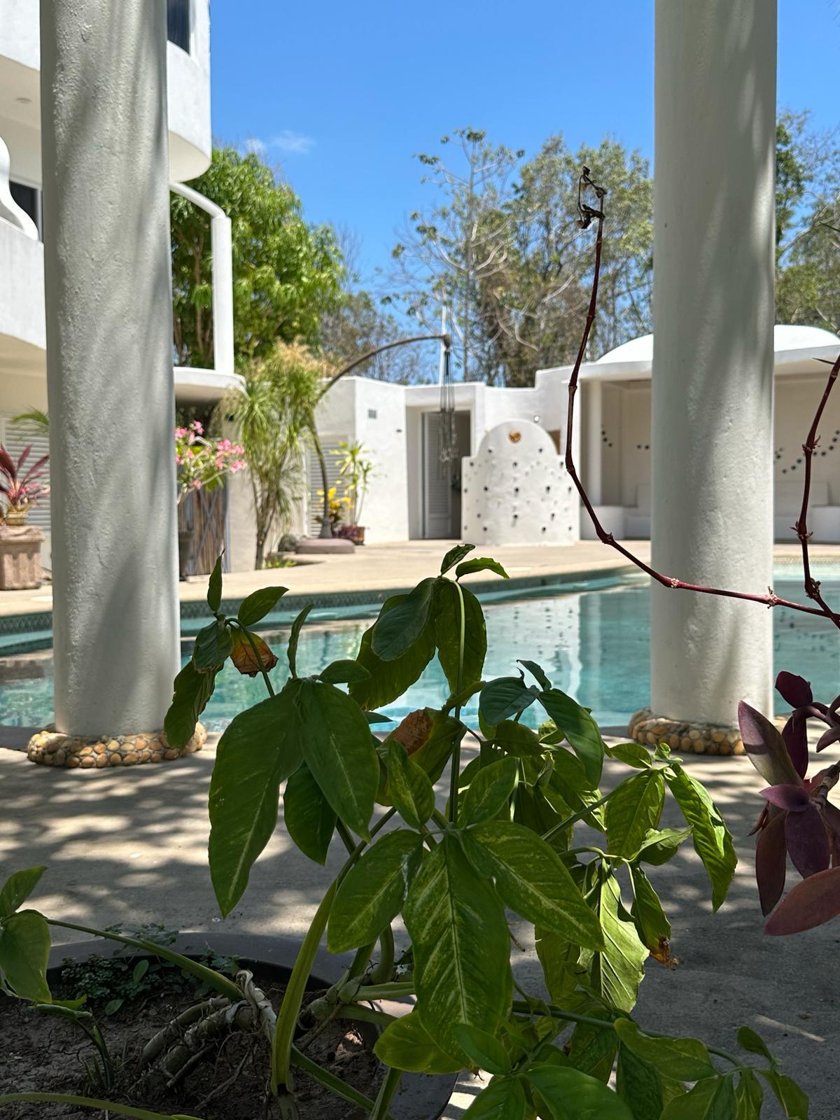 Hostal amueblado en la Colonia Doctores Cancún